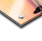 Camargue Horses Sunset Acrylic print