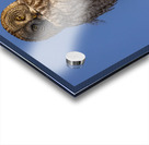 GGO 35 Acrylic print