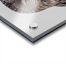 GGO 36 Acrylic print