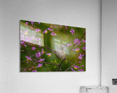 Hummingbird in Flower Frame Acrylic Print