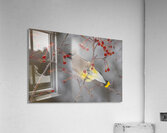 Waxwing Acrylic Print