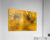 LEO Fall Time Acrylic Print