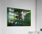 Hummingbird 5 Acrylic Print