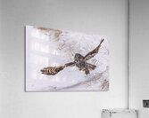 GGO 12 Acrylic Print