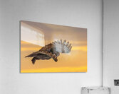 GGO 15 Acrylic Print