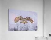 GGO 17 Acrylic Print