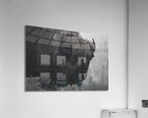 Bison BW Acrylic Print