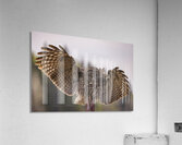 GGO 18 Acrylic Print