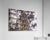 GGO 19 Acrylic Print