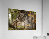 GHO Fall Time Acrylic Print