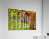 Cool Face Acrylic Print