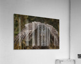 GGO 22 Acrylic Print