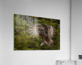 GGO 23 Acrylic Print