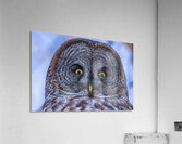 GGO 24 Acrylic Print