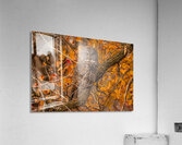 GGO 25 Acrylic Print