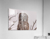 GGO 27 Acrylic Print