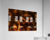 Saw Whet Owl 4 Acrylic Print