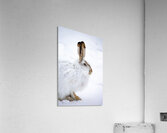 Jack Rabbit Acrylic Print