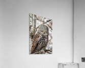 GGO 29 Acrylic Print