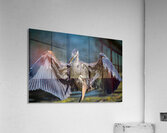 Blue Heron 2 Acrylic Print