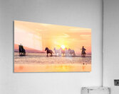Camargue Horses Sunset Acrylic Print