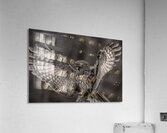 GGO 37 Acrylic Print