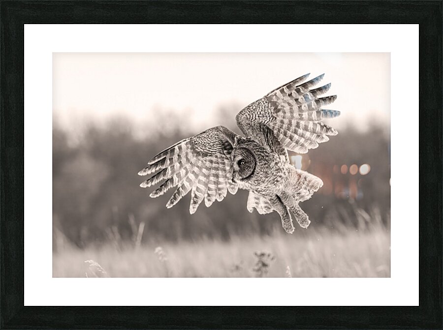 GGO Picture Frame print