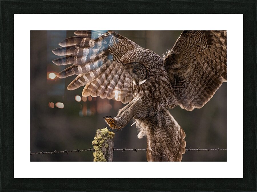 GGO 2 Picture Frame print