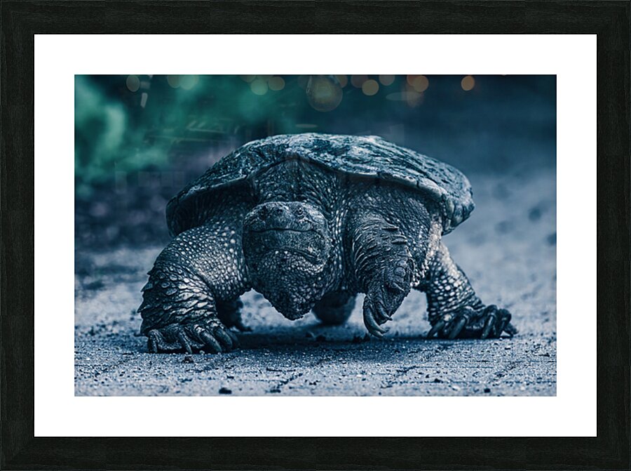 Dino Picture Frame print