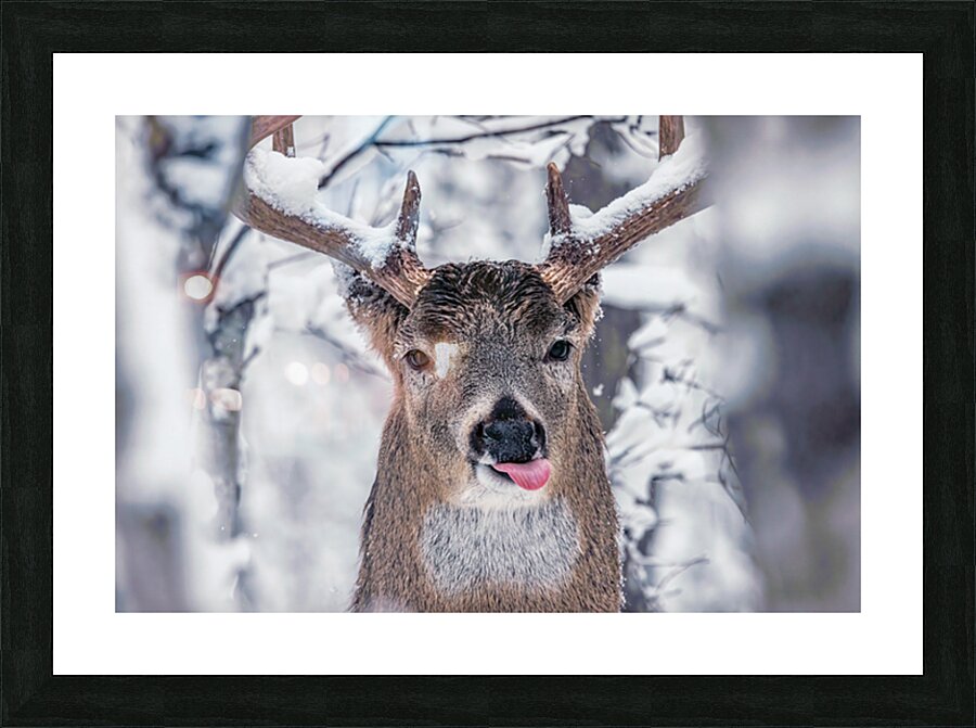 Buck Glancial Blue Picture Frame print