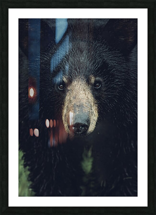 Wild Bear Futuristic Picture Frame print