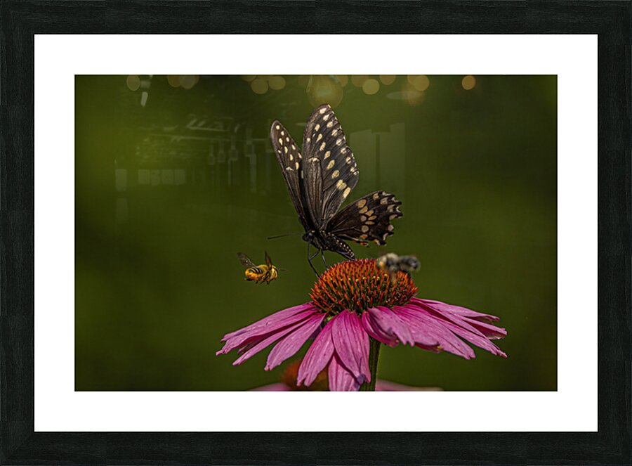 Flower Story Picture Frame print