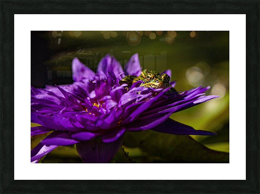 Flower Story 2 Picture Frame print