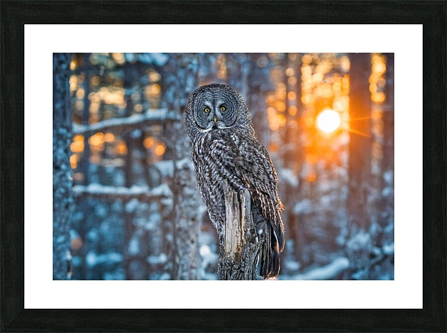 GGO 4 Picture Frame print