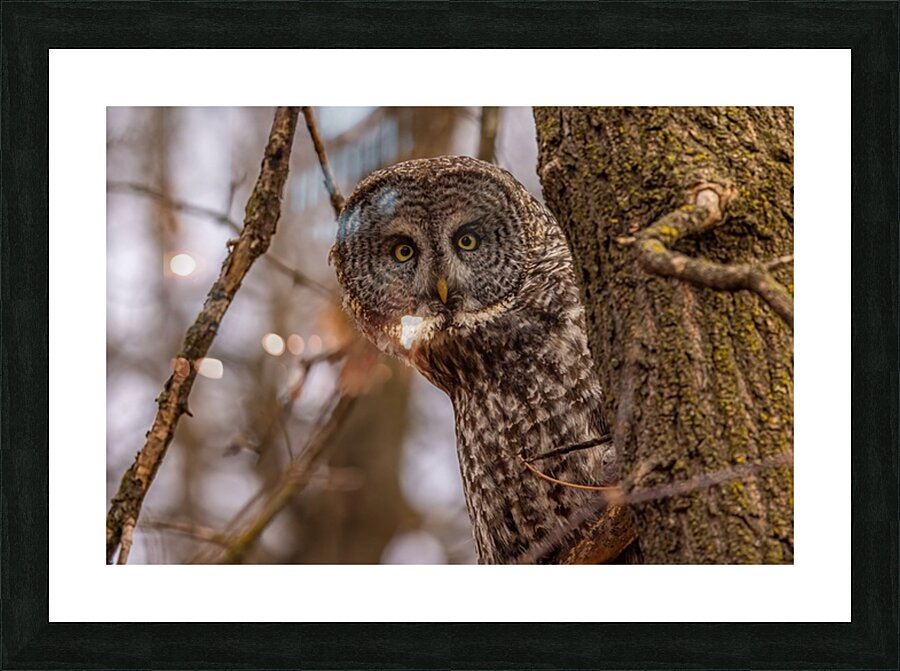 GGO 5 Peekaboo Picture Frame print