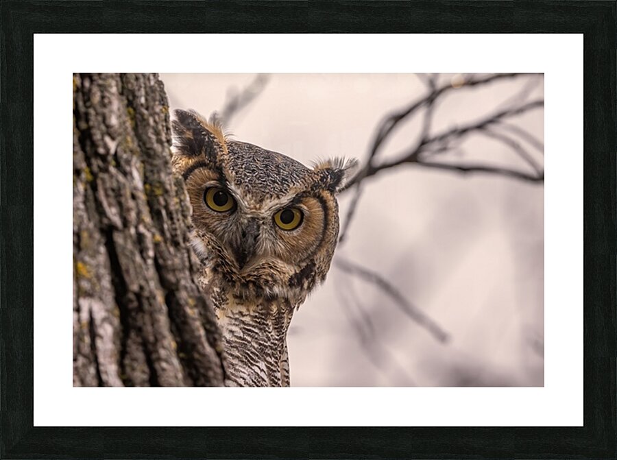 GHO Peekaboo Picture Frame print
