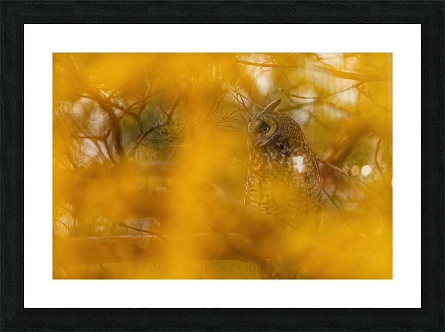 LEO Fall Time Picture Frame print