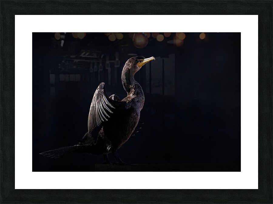 Cormorant Elegant Picture Frame print