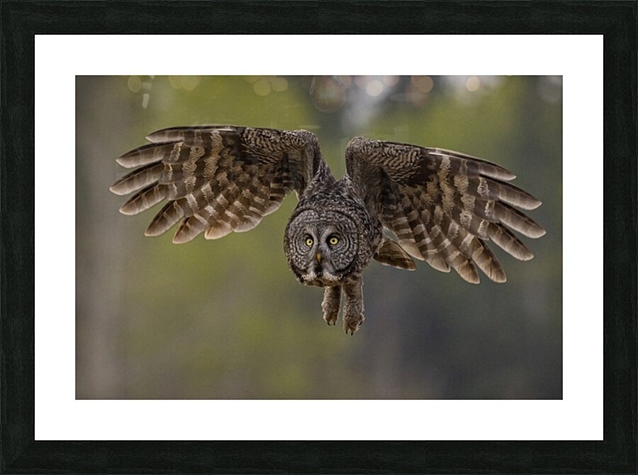 GGO 9 Picture Frame print