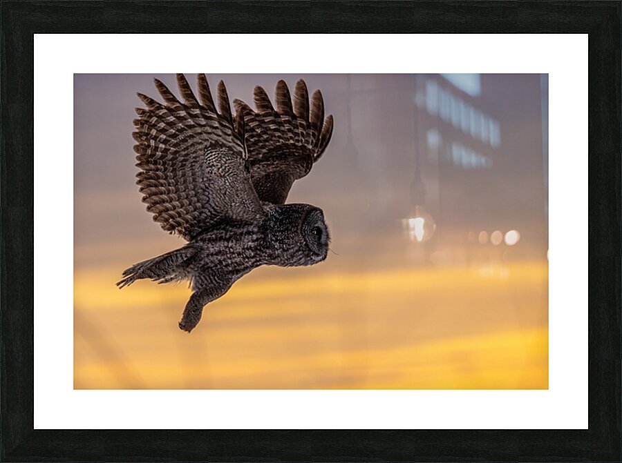 GGO 10 Picture Frame print