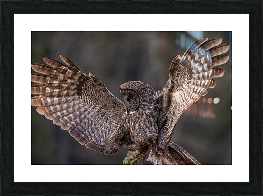 GGO 11 Picture Frame print