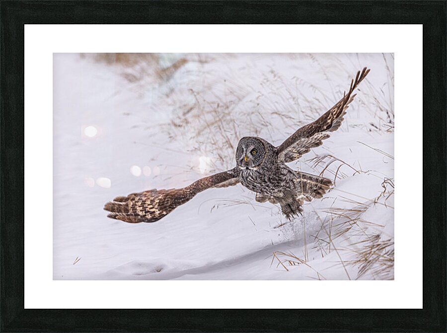 GGO 12 Picture Frame print