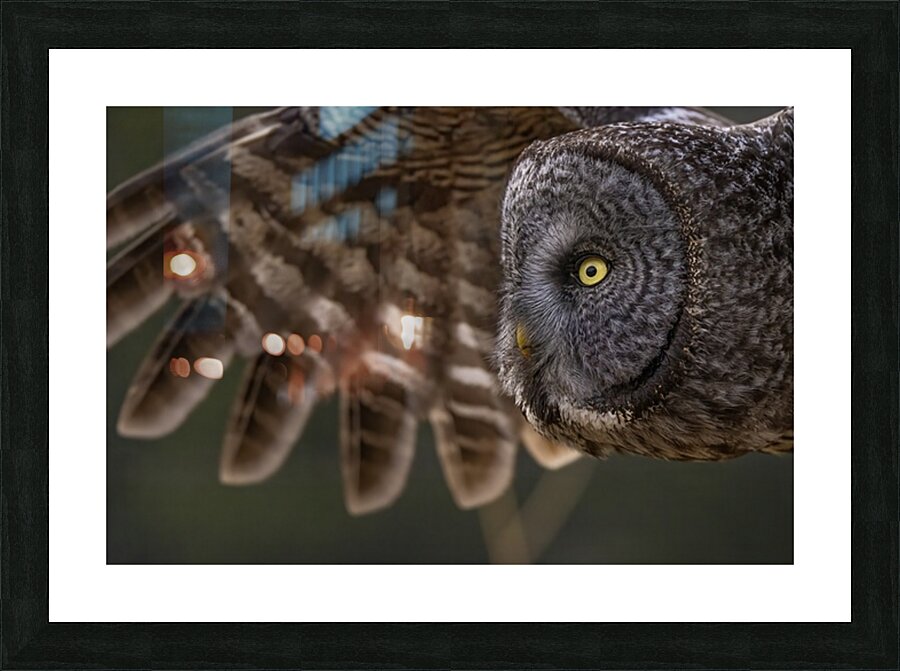 GGO 13 Picture Frame print