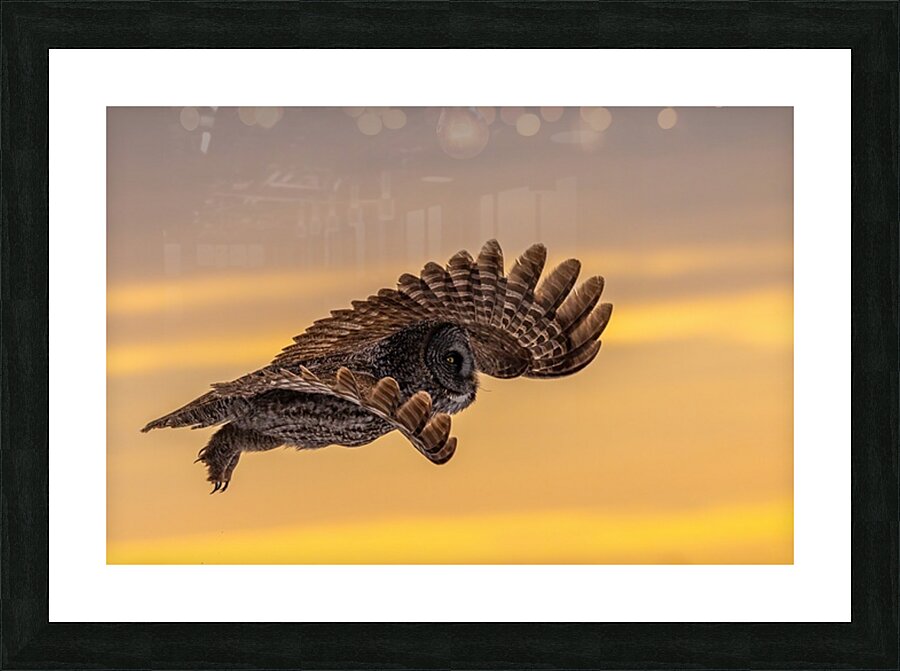 GGO 15 Picture Frame print