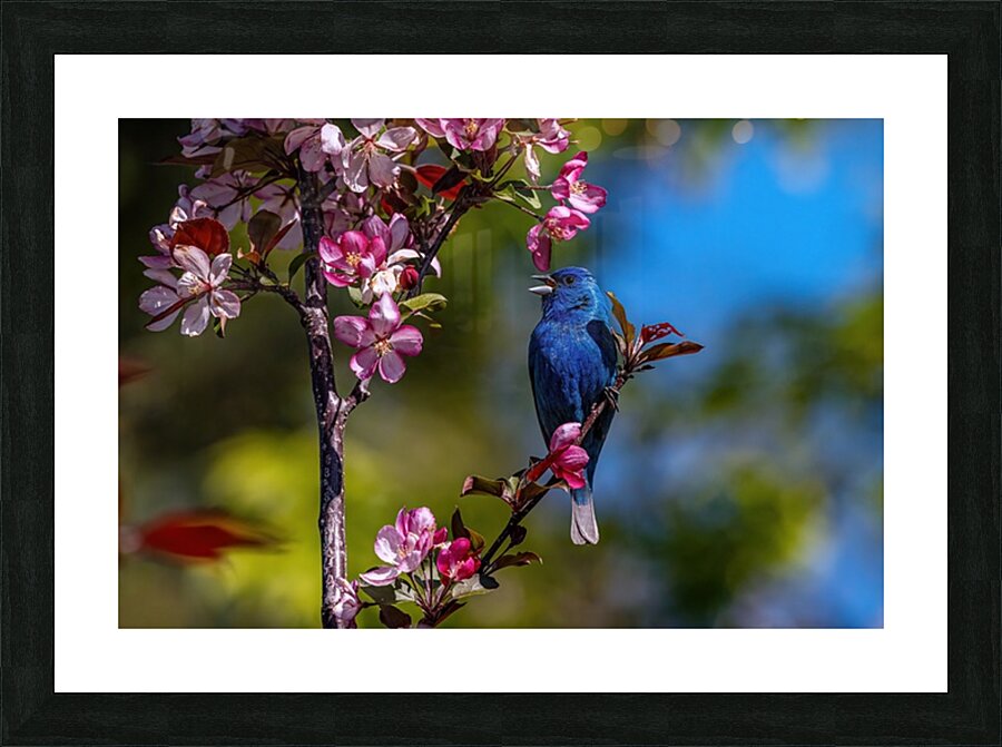 Indigo Picture Frame print