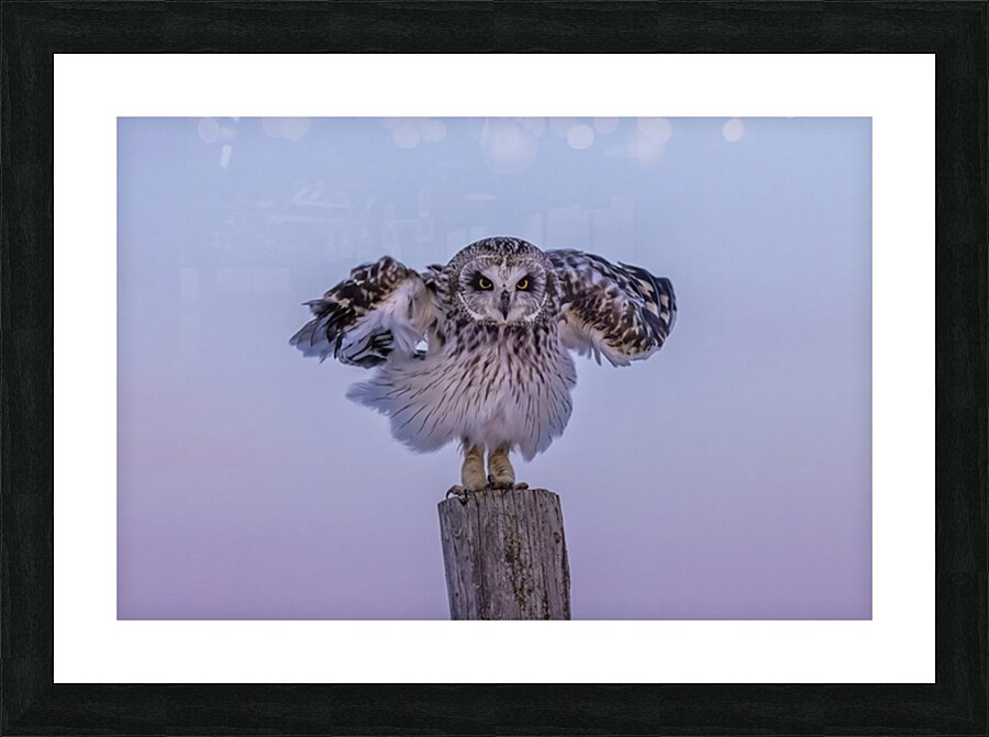 SEO 2 Picture Frame print