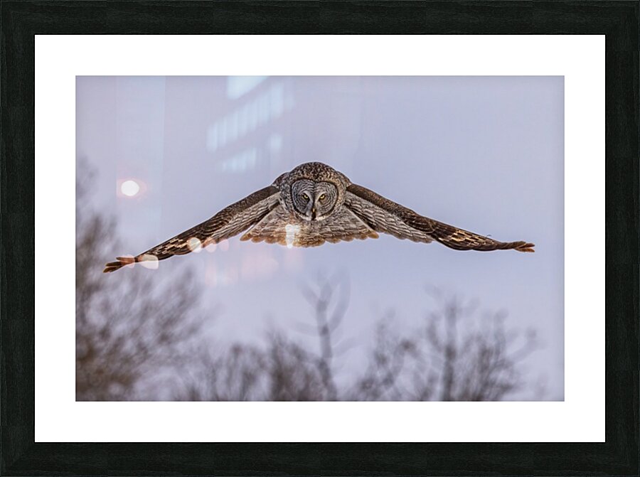 GGO 16 Picture Frame print