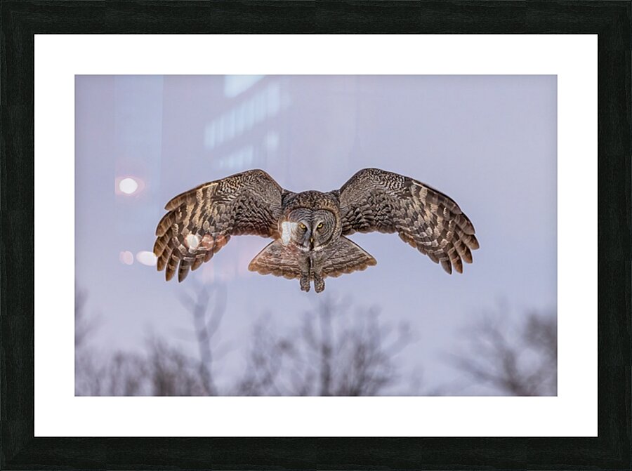 GGO 17 Picture Frame print