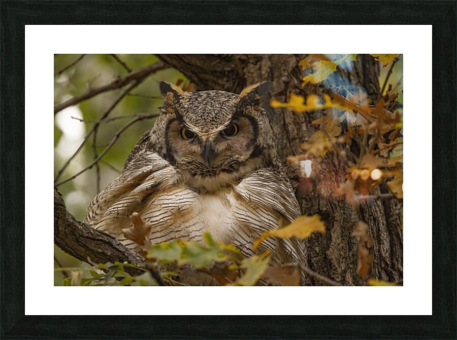 GHO Fall Time Picture Frame print