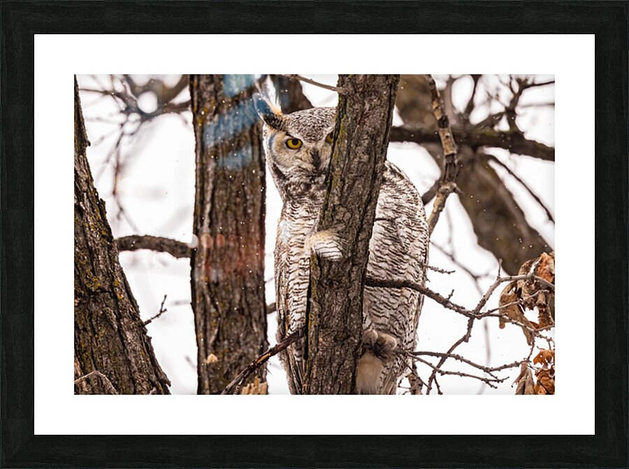 GHO 2 Picture Frame print